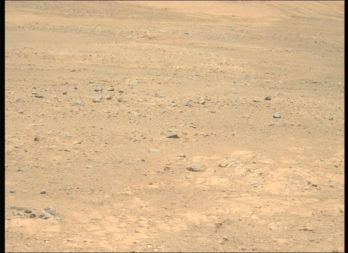 This image was taken by MCZ_LEFT onboard NASA's Mars rover Perseverance on Sol 1367
