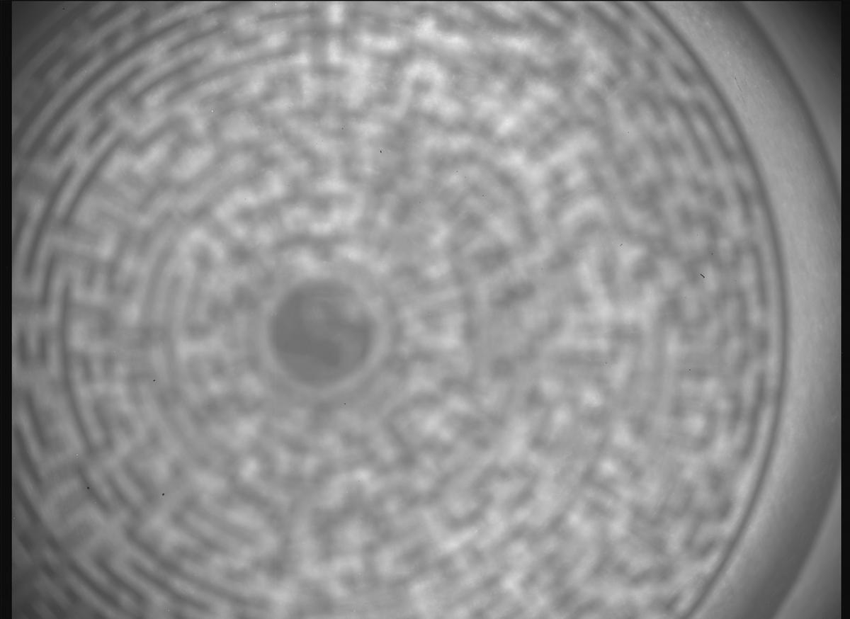 This image was taken by SHERLOC_ACI onboard NASA's Mars rover Perseverance on Sol 1368