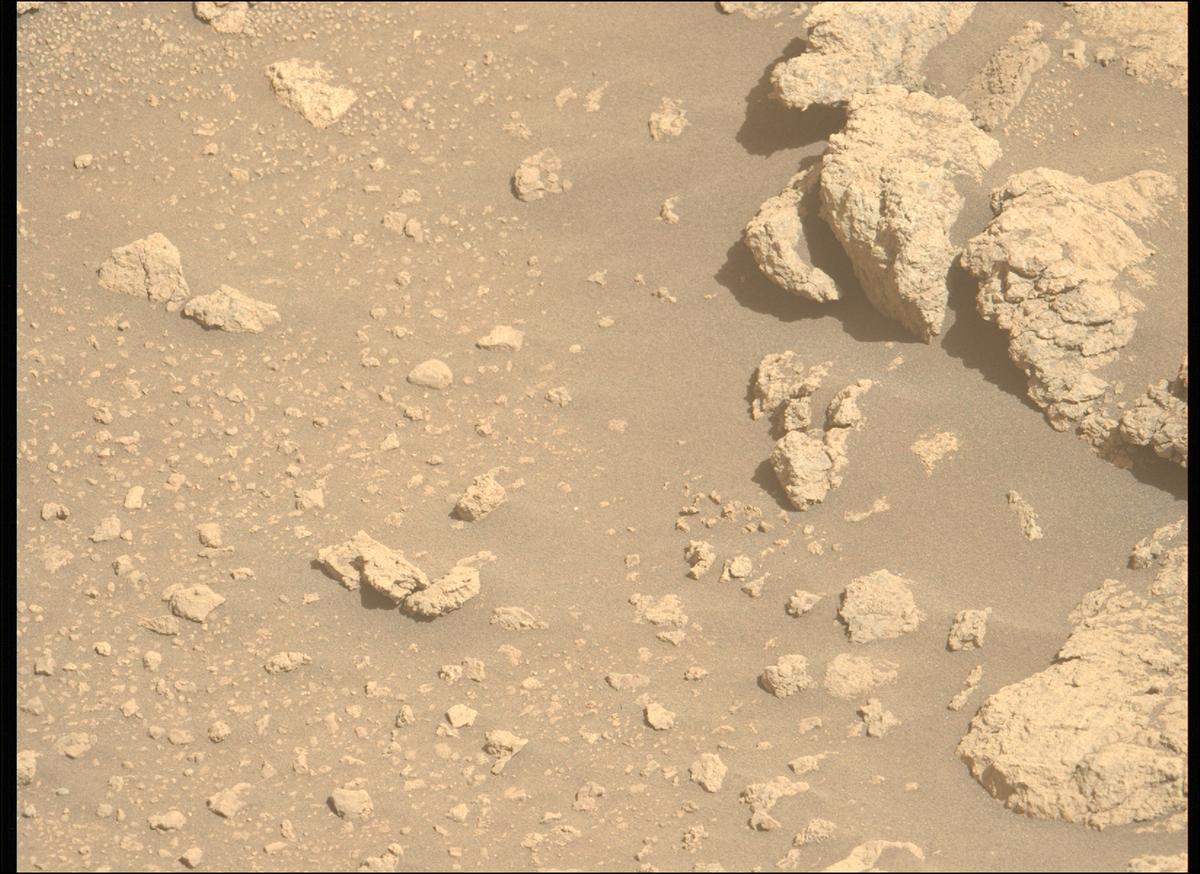 This image was taken by MCZ_LEFT onboard NASA's Mars rover Perseverance on Sol 1374