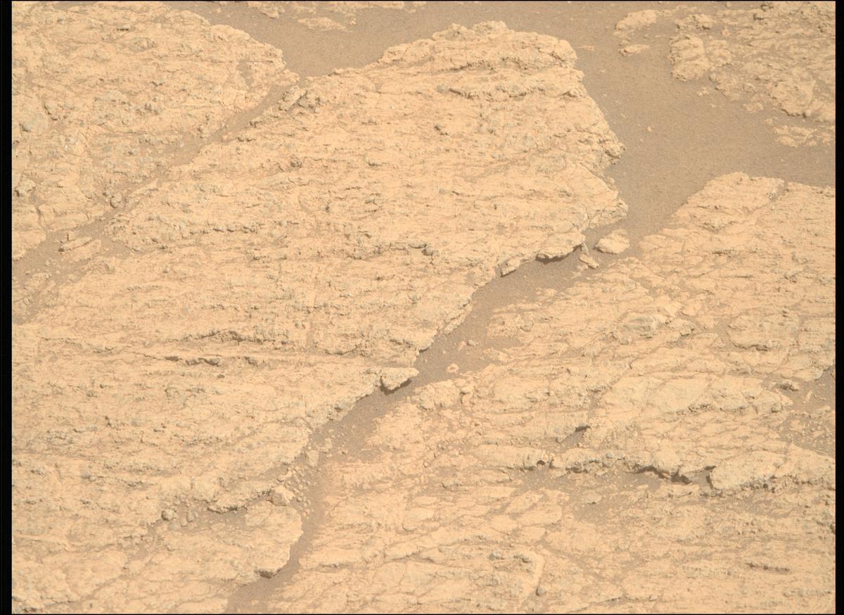 This image was taken by MCZ_RIGHT onboard NASA's Mars rover Perseverance on Sol 1374