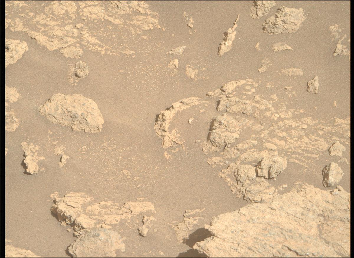 This image was taken by MCZ_RIGHT onboard NASA's Mars rover Perseverance on Sol 1374
