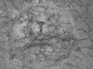 View image taken on Mars, Mars Perseverance Sol 1375: WATSON Camera 