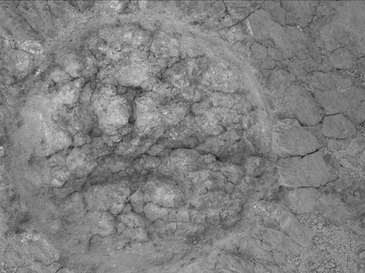 This image was taken by SHERLOC_WATSON onboard NASA's Mars rover Perseverance on Sol 1375