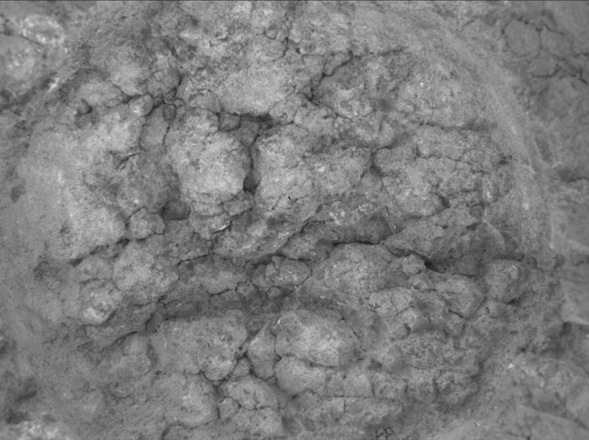 This image was taken by SHERLOC_WATSON onboard NASA's Mars rover Perseverance on Sol 1375