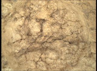 View image taken on Mars, Mars Perseverance Sol 1375: WATSON Camera 