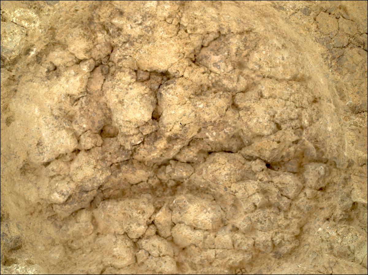 This image was taken by SHERLOC_WATSON onboard NASA's Mars rover Perseverance on Sol 1375