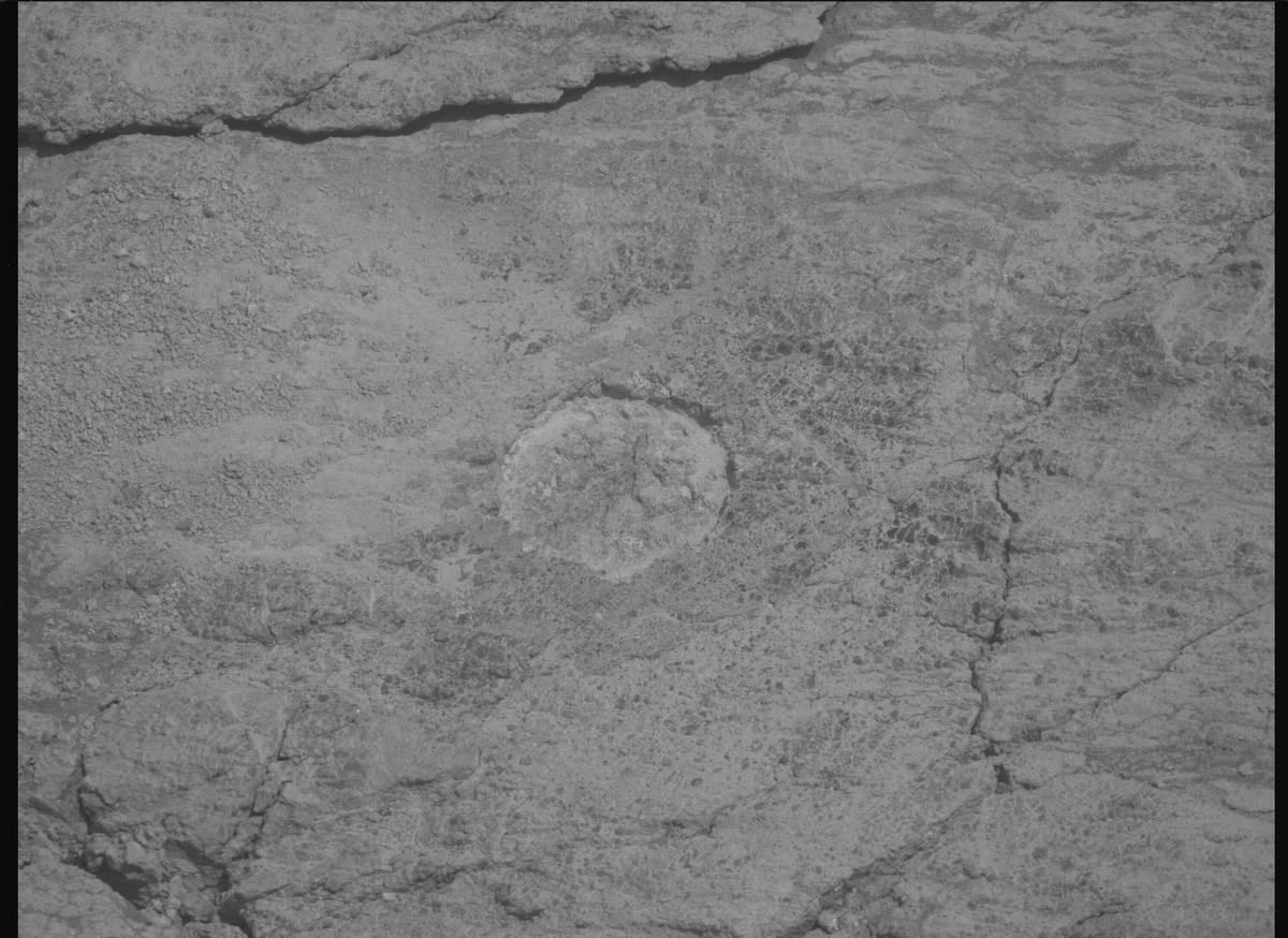 This image was taken by MCZ_RIGHT onboard NASA's Mars rover Perseverance on Sol 1376