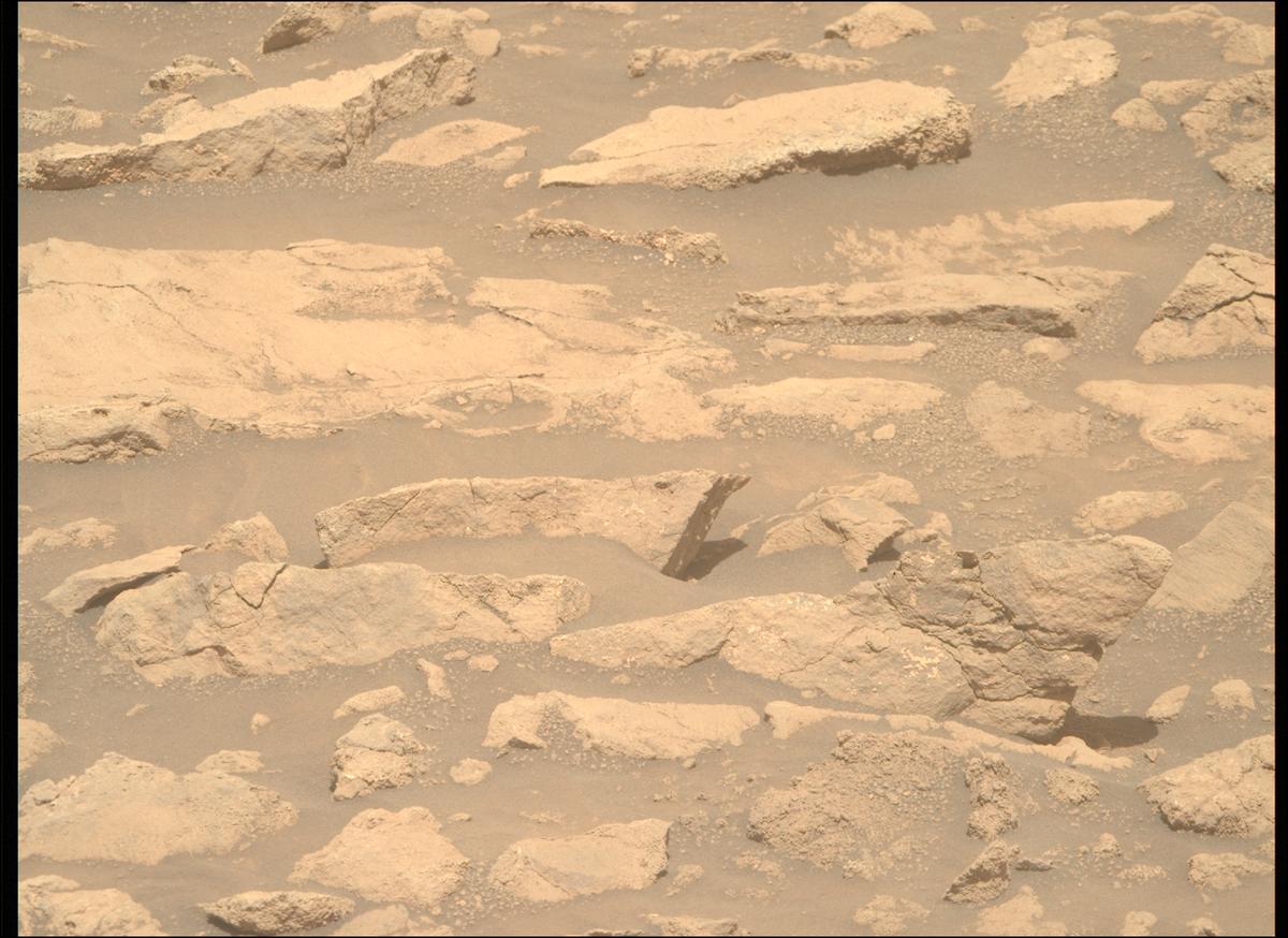This image was taken by MCZ_RIGHT onboard NASA's Mars rover Perseverance on Sol 1380