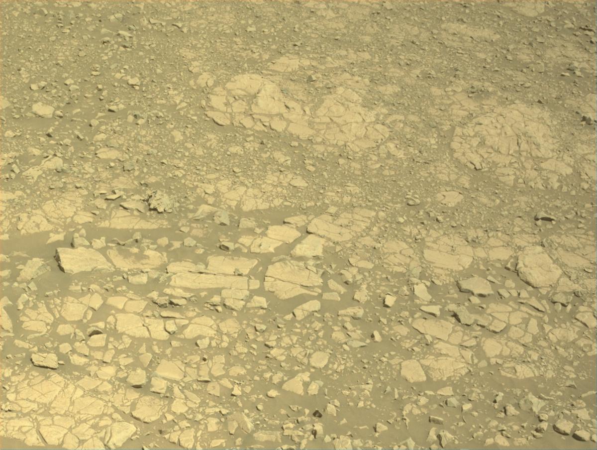 This image was taken by NAVCAM_LEFT onboard NASA's Mars rover Perseverance on Sol 1381