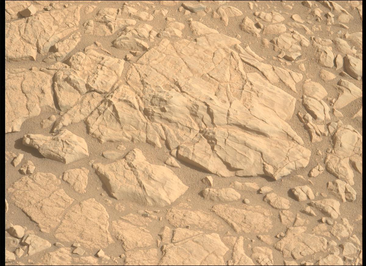 This image was taken by MCZ_LEFT onboard NASA's Mars rover Perseverance on Sol 1381