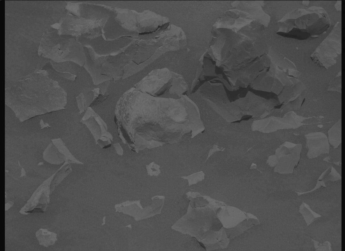 This image was taken by MCZ_LEFT onboard NASA's Mars rover Perseverance on Sol 1381