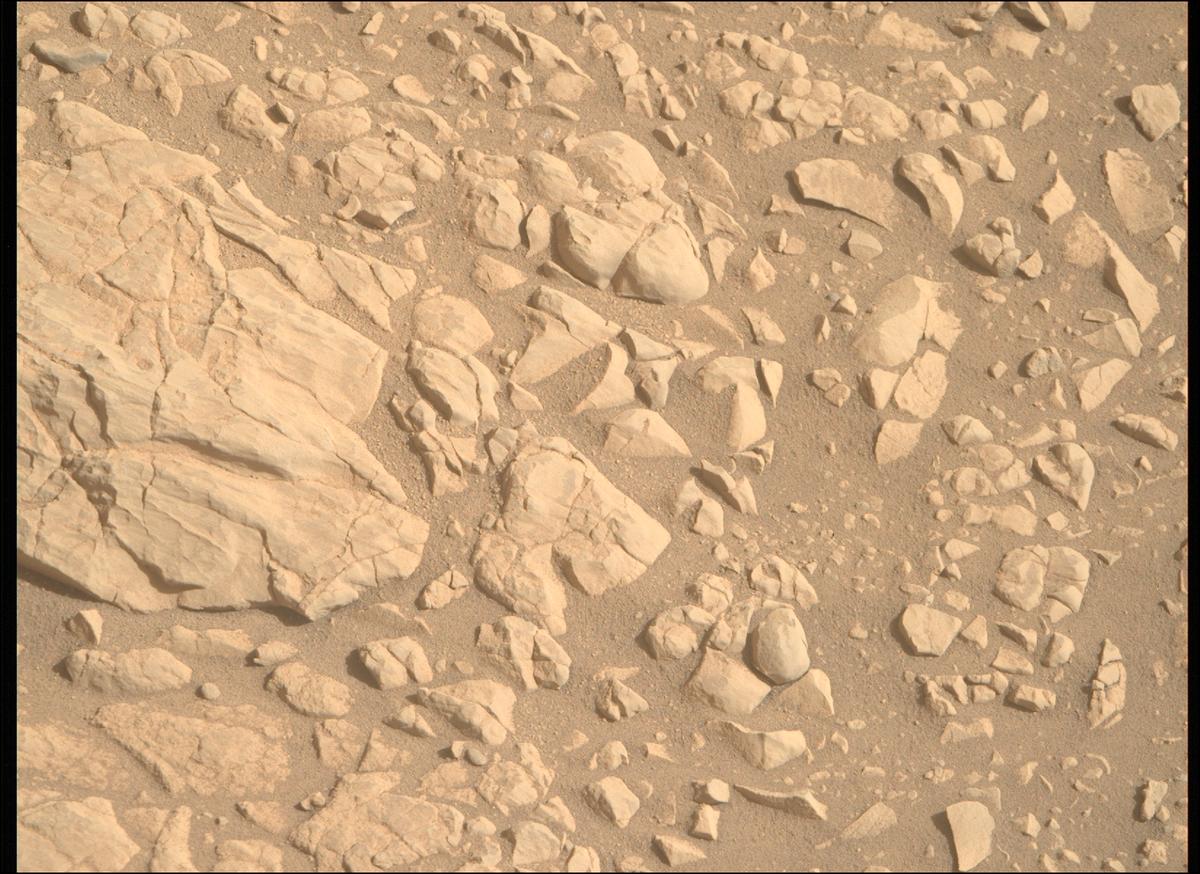 This image was taken by MCZ_RIGHT onboard NASA's Mars rover Perseverance on Sol 1381