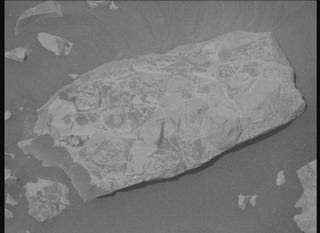 View image taken on Mars, Mars Perseverance Sol 1381: Right Mastcam-Z Camera