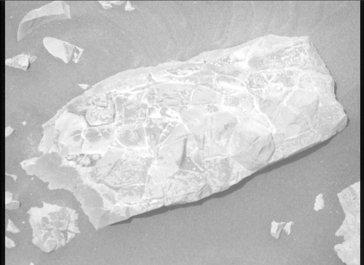 This image was taken by MCZ_RIGHT onboard NASA's Mars rover Perseverance on Sol 1381