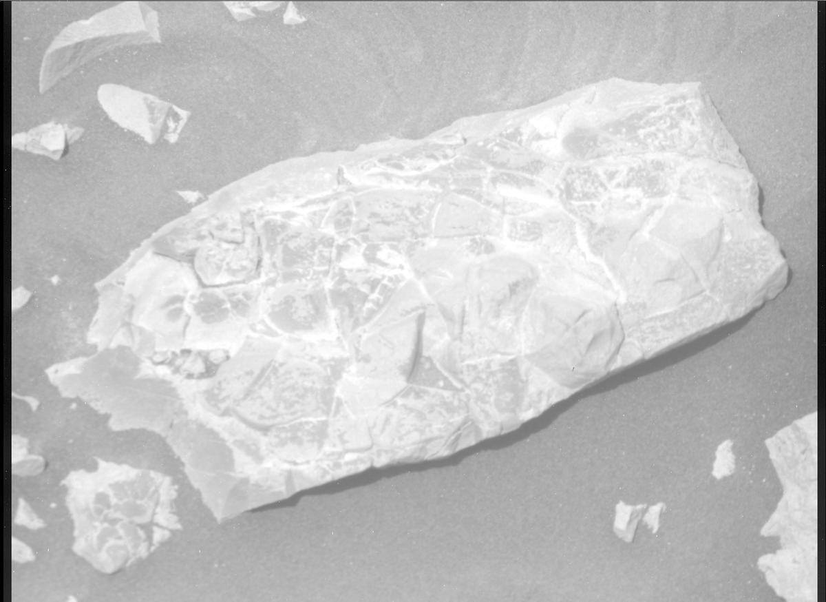 This image was taken by MCZ_RIGHT onboard NASA's Mars rover Perseverance on Sol 1381