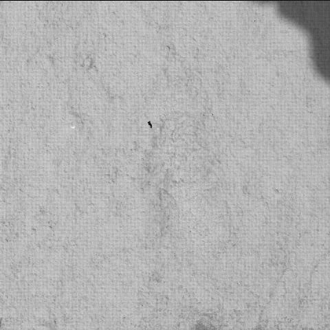 This image was taken by SHERLOC_WATSON onboard NASA's Mars rover Perseverance on Sol 1395