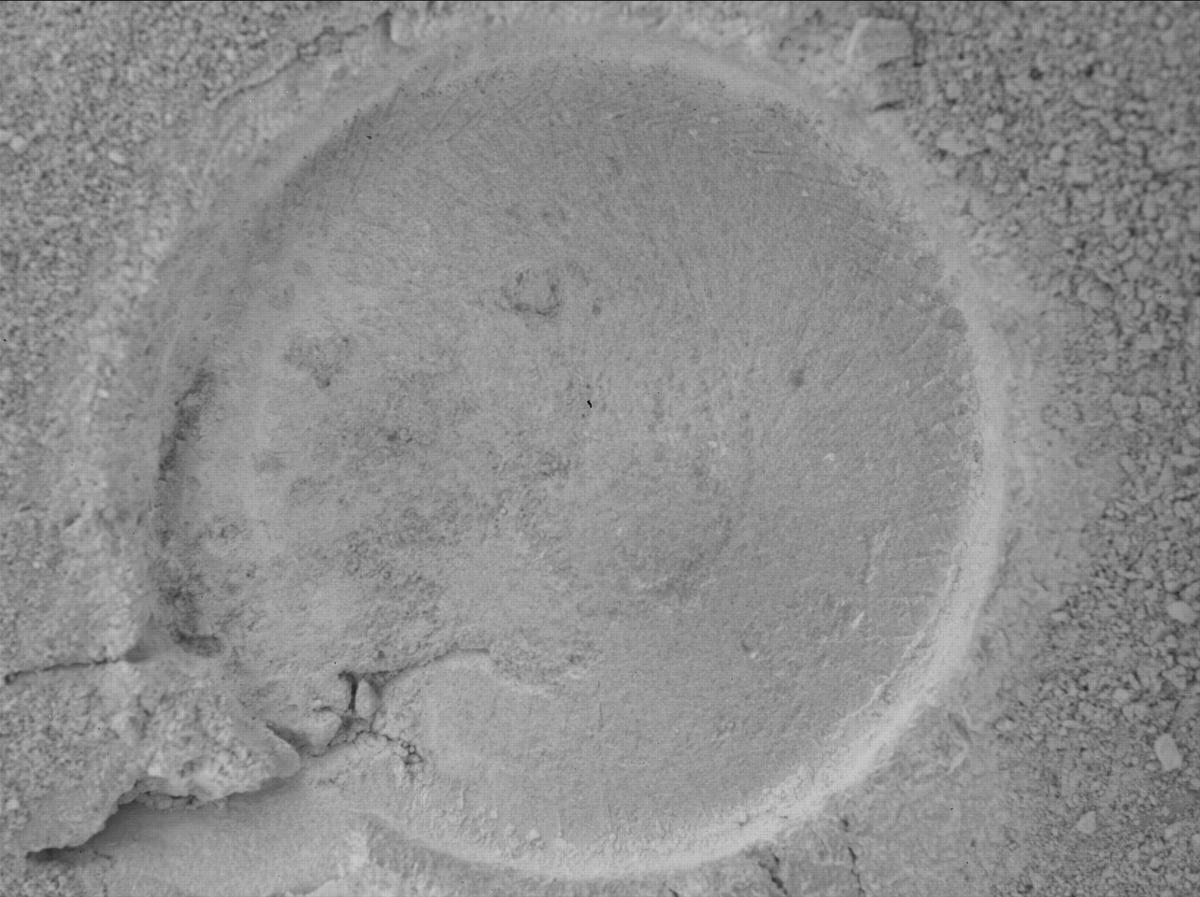 This image was taken by SHERLOC_WATSON onboard NASA's Mars rover Perseverance on Sol 1395