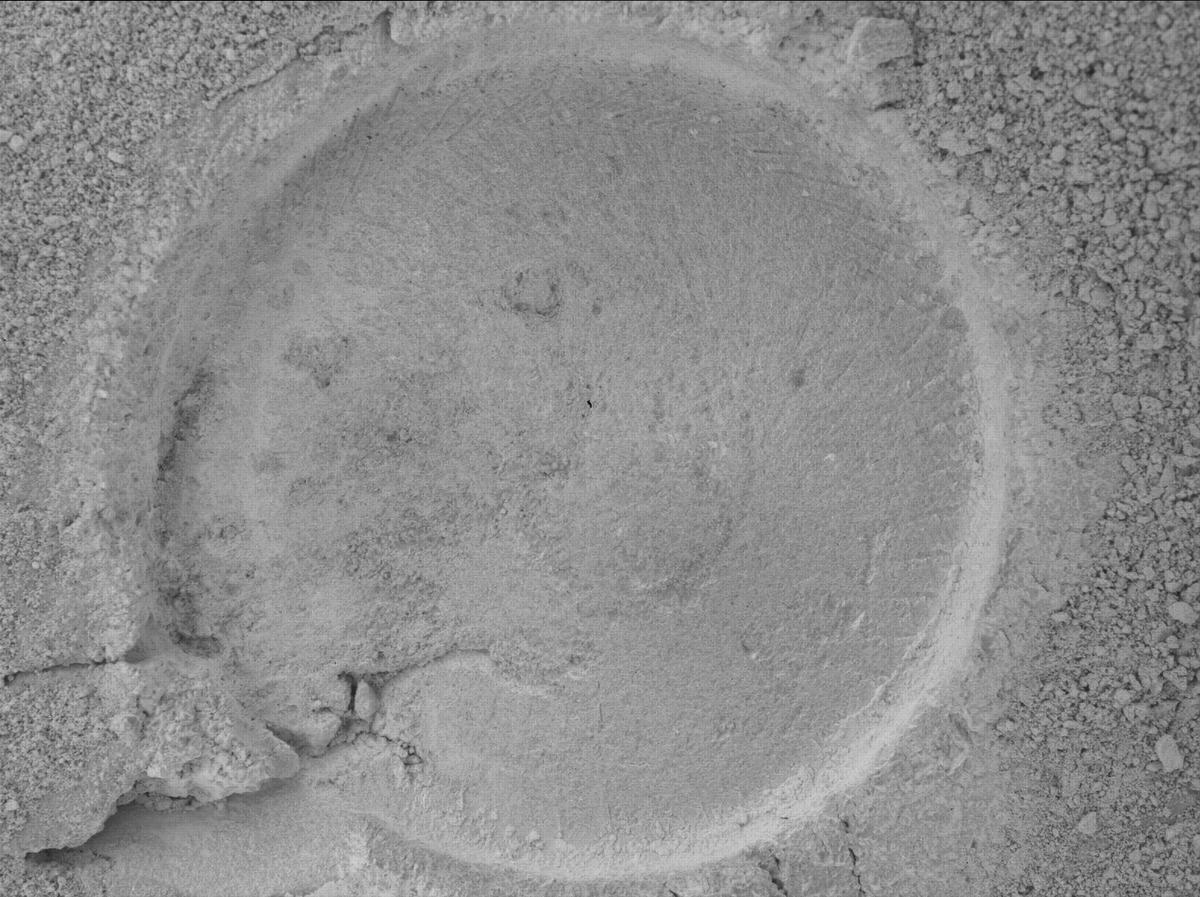 This image was taken by SHERLOC_WATSON onboard NASA's Mars rover Perseverance on Sol 1395