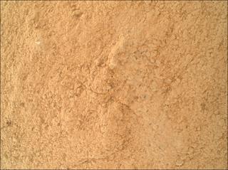 View image taken on Mars, Mars Perseverance Sol 1395: WATSON Camera 