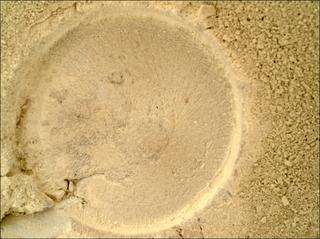 View image taken on Mars, Mars Perseverance Sol 1395: WATSON Camera 