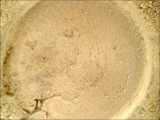 View image taken on Mars, Mars Perseverance Sol 1395: WATSON Camera 