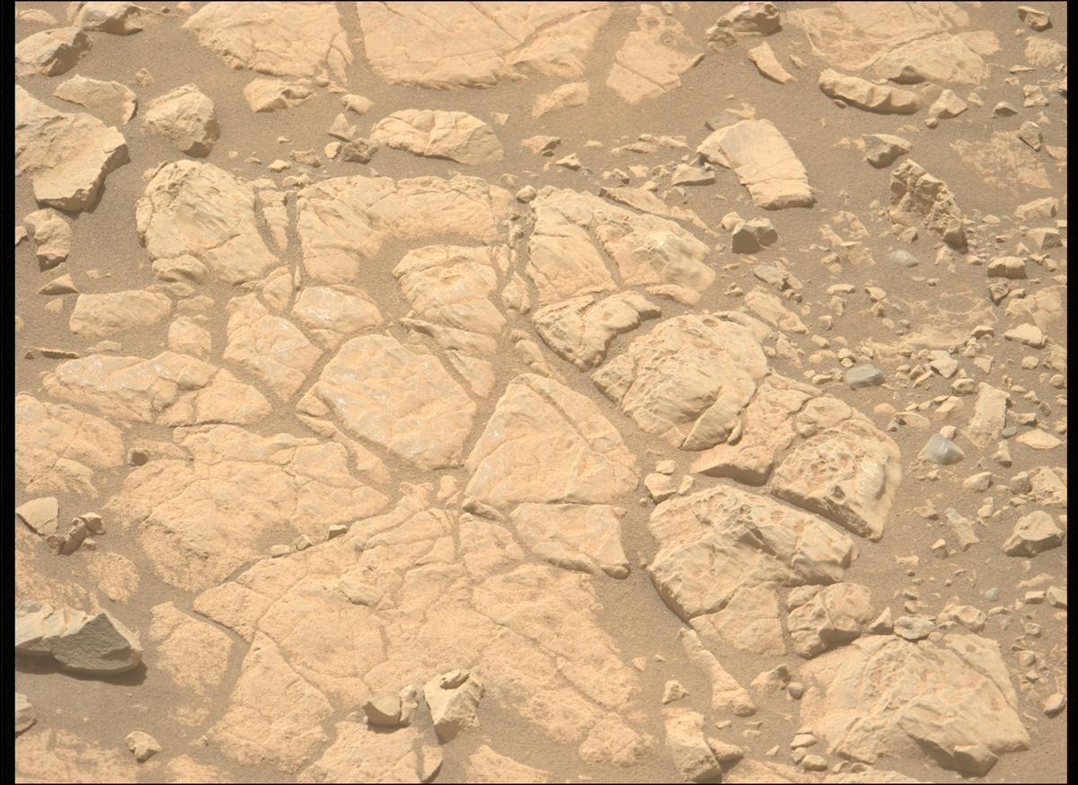 This image was taken by MCZ_LEFT onboard NASA's Mars rover Perseverance on Sol 1395