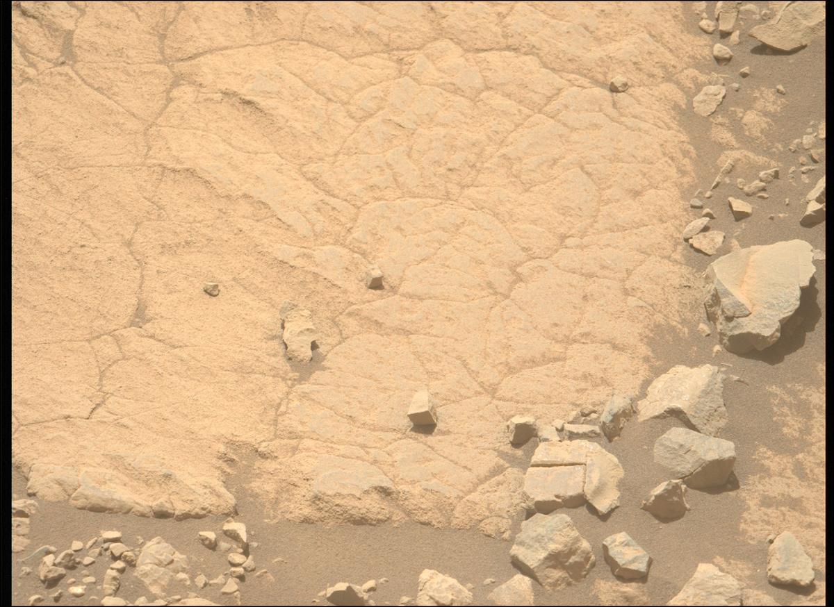 This image was taken by MCZ_LEFT onboard NASA's Mars rover Perseverance on Sol 1395