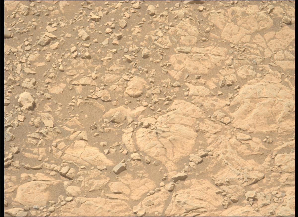This image was taken by MCZ_LEFT onboard NASA's Mars rover Perseverance on Sol 1395