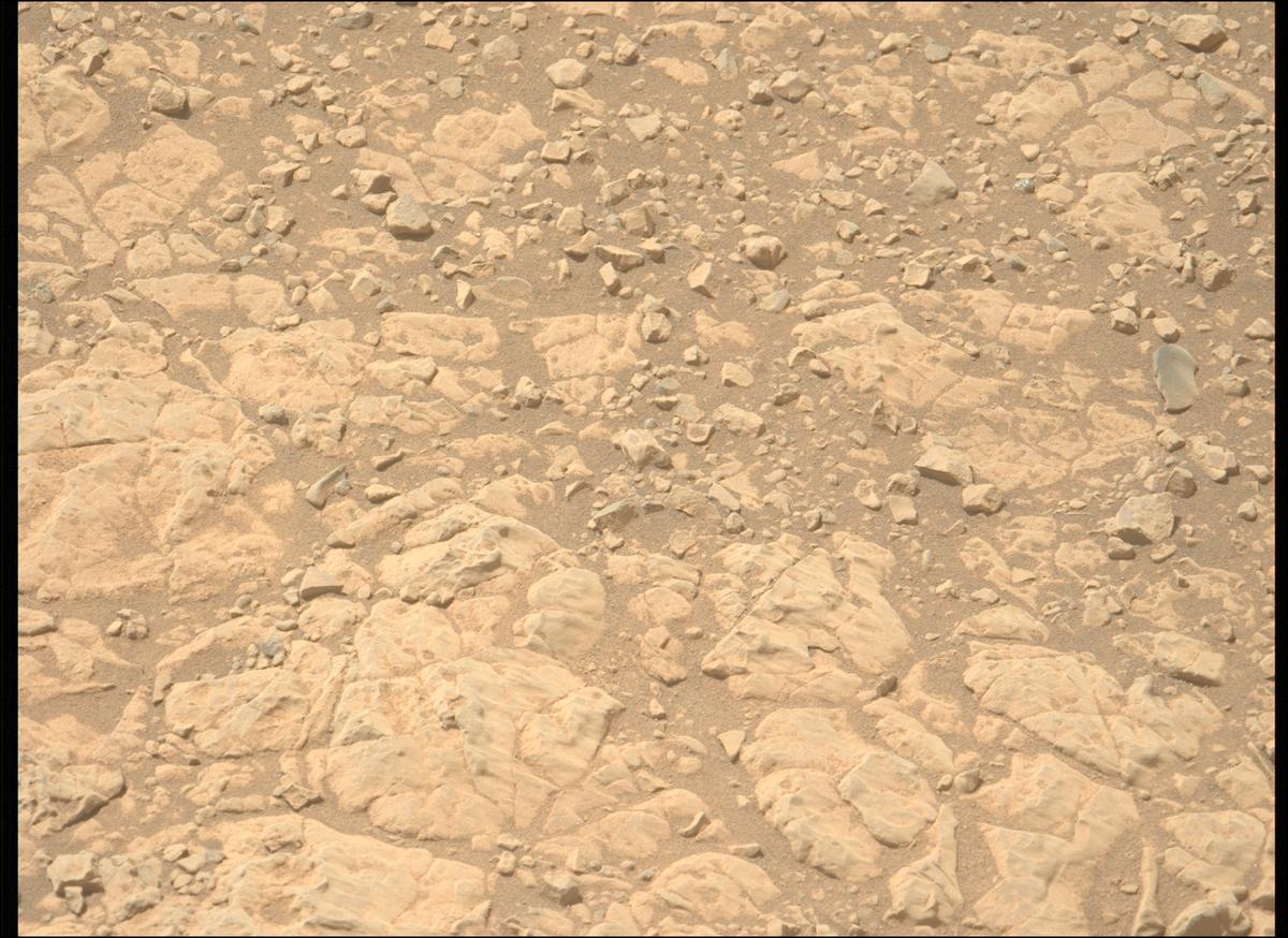 This image was taken by MCZ_LEFT onboard NASA's Mars rover Perseverance on Sol 1395