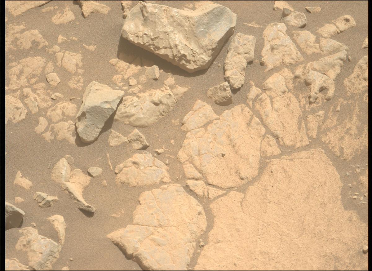 This image was taken by MCZ_LEFT onboard NASA's Mars rover Perseverance on Sol 1395