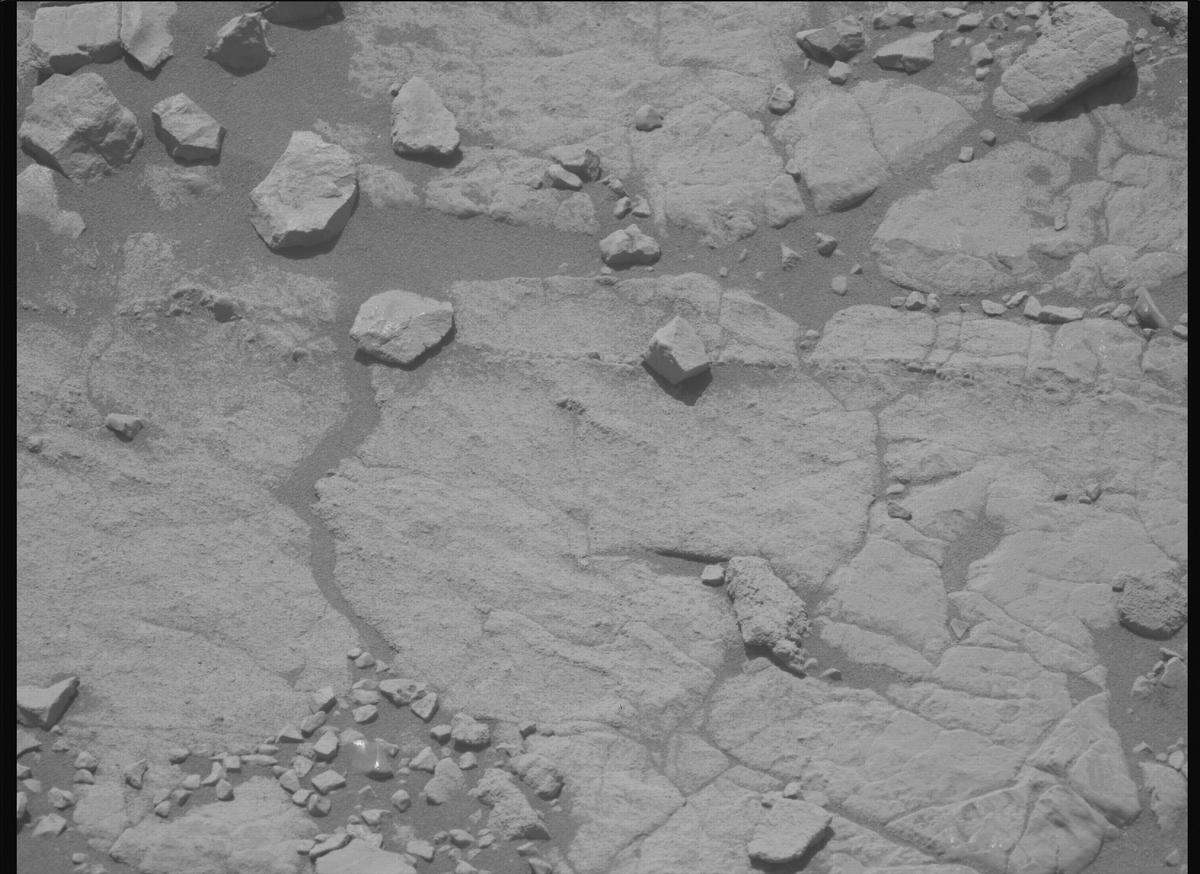 This image was taken by MCZ_LEFT onboard NASA's Mars rover Perseverance on Sol 1395