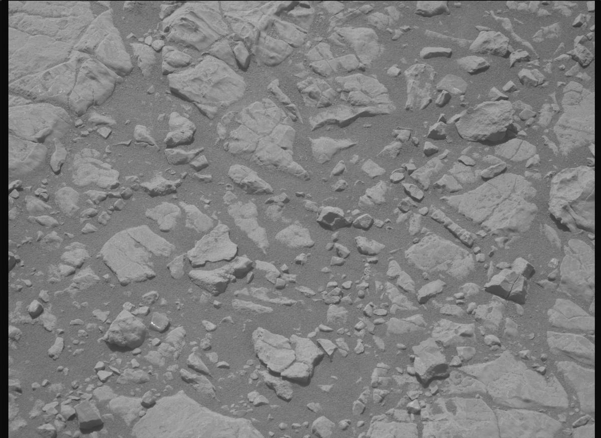 This image was taken by MCZ_LEFT onboard NASA's Mars rover Perseverance on Sol 1395