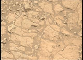 View image taken on Mars, Mars Perseverance Sol 1395: Left Mastcam-Z Camera