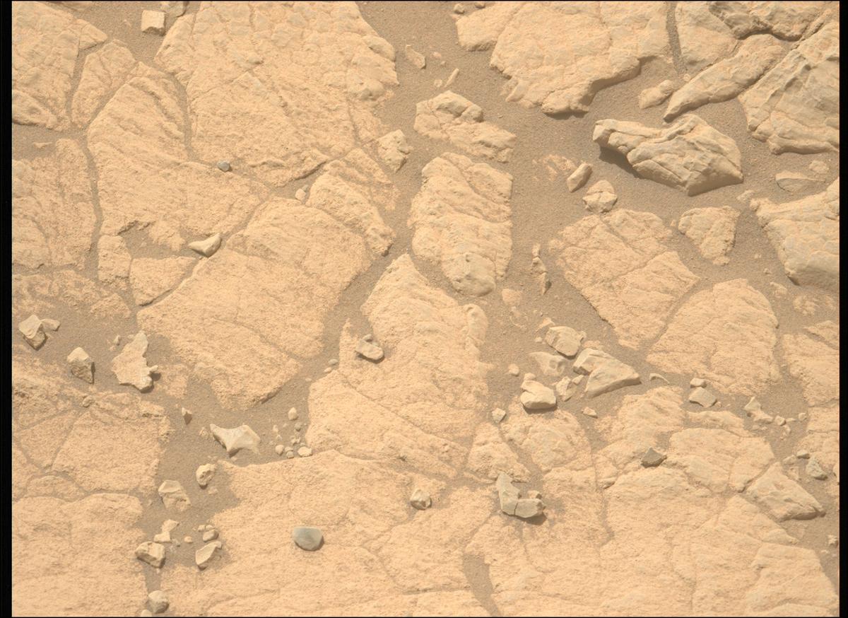 This image was taken by MCZ_LEFT onboard NASA's Mars rover Perseverance on Sol 1395