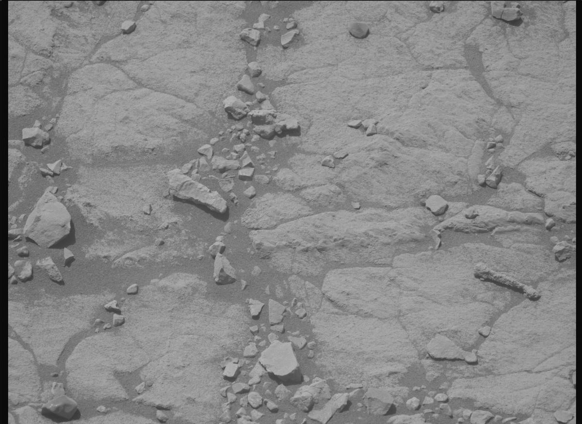 This image was taken by MCZ_LEFT onboard NASA's Mars rover Perseverance on Sol 1395