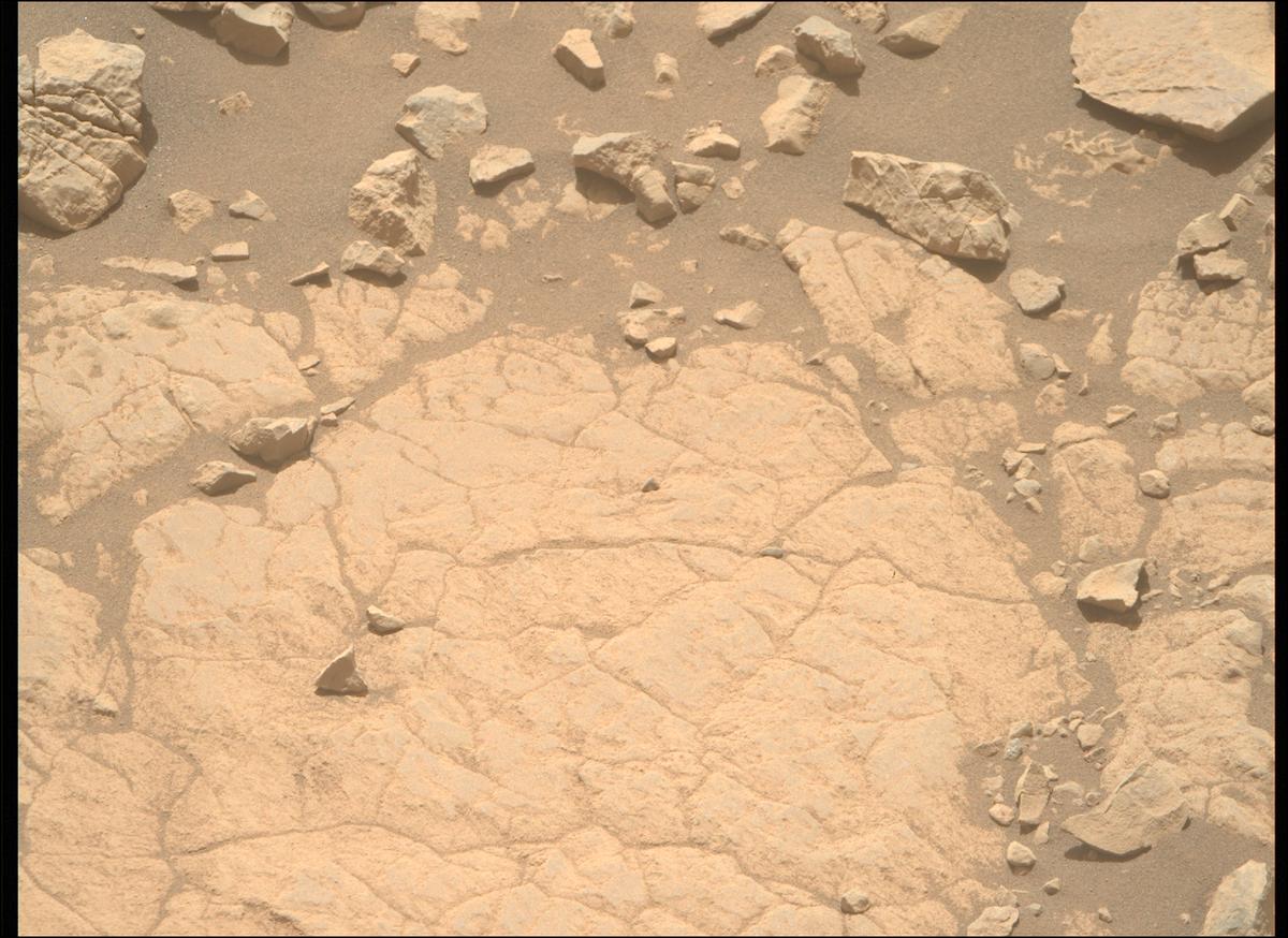 This image was taken by MCZ_RIGHT onboard NASA's Mars rover Perseverance on Sol 1395