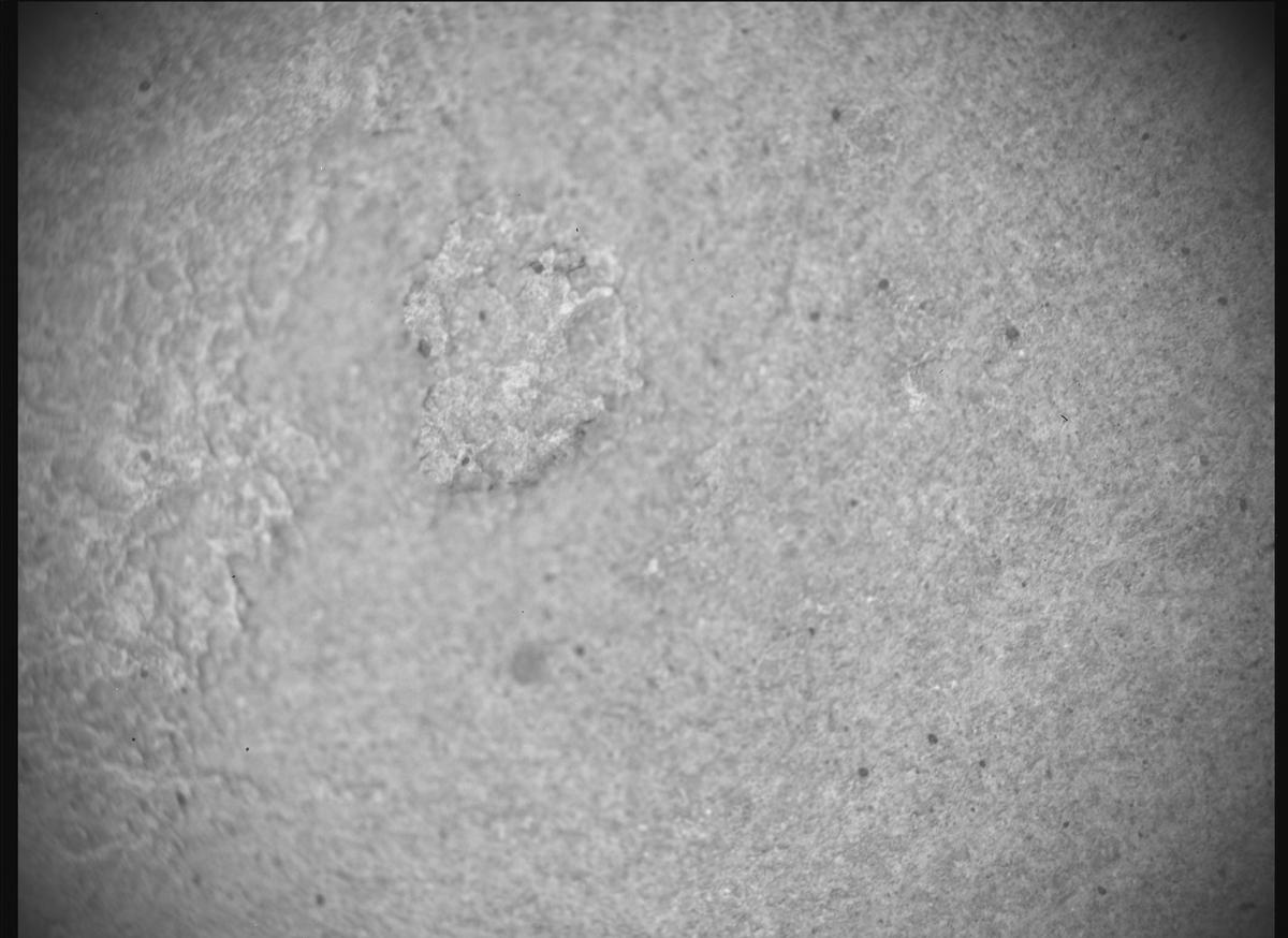 This image was taken by SHERLOC_ACI onboard NASA's Mars rover Perseverance on Sol 1396