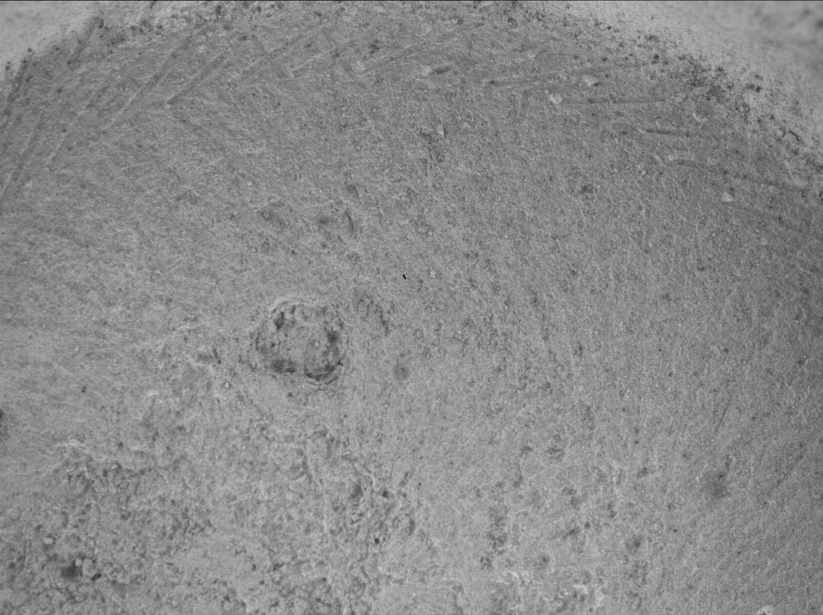 This image was taken by SHERLOC_WATSON onboard NASA's Mars rover Perseverance on Sol 1396