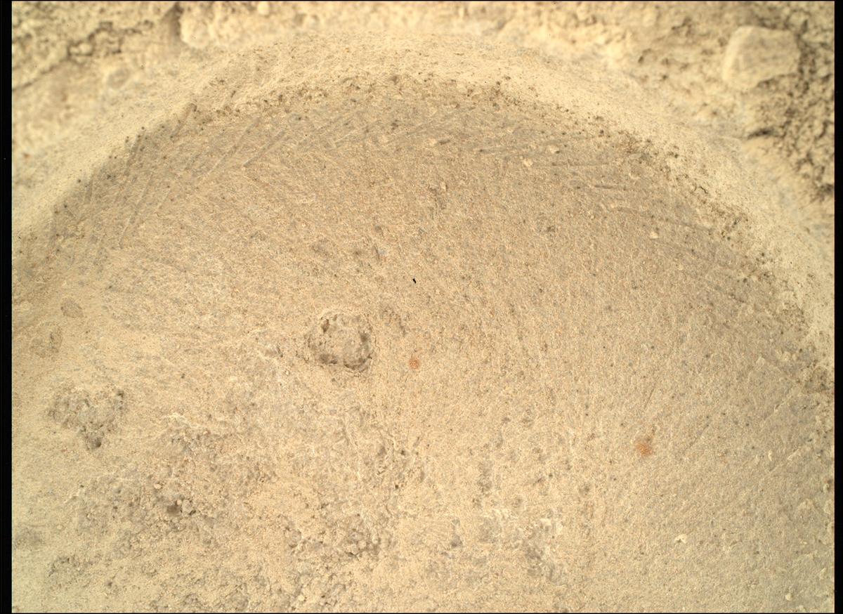 This image was taken by SHERLOC_WATSON onboard NASA's Mars rover Perseverance on Sol 1396