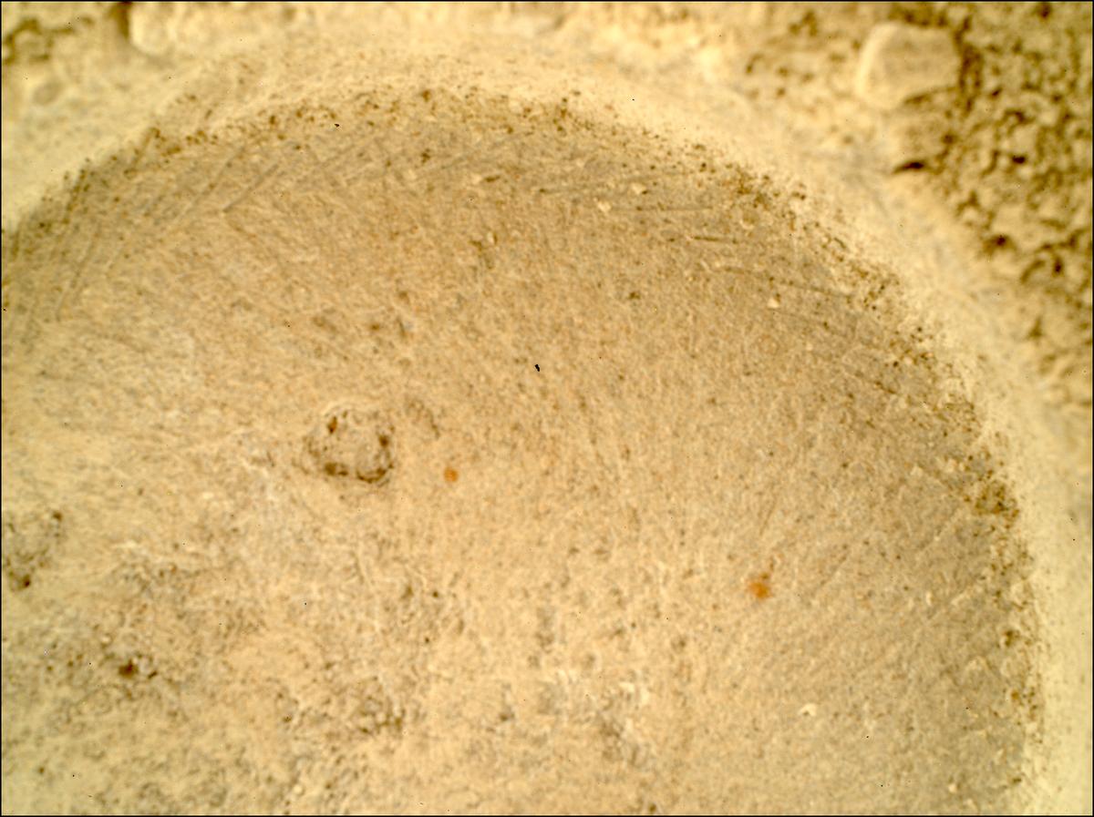 This image was taken by SHERLOC_WATSON onboard NASA's Mars rover Perseverance on Sol 1396