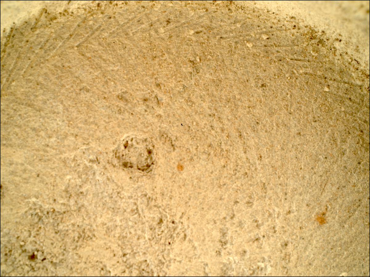 This image was taken by SHERLOC_WATSON onboard NASA's Mars rover Perseverance on Sol 1396