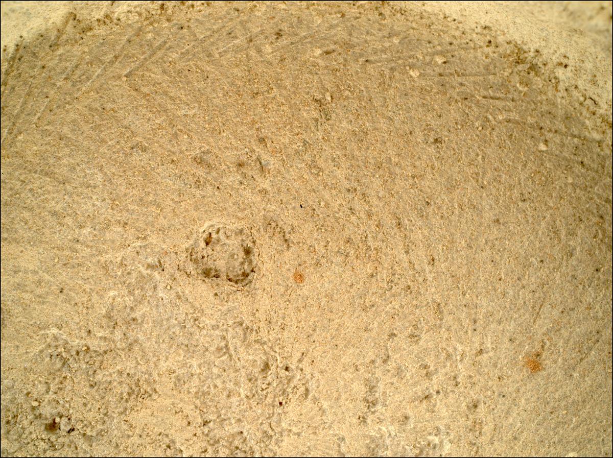 This image was taken by SHERLOC_WATSON onboard NASA's Mars rover Perseverance on Sol 1396