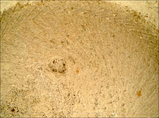 View image taken on Mars, Mars Perseverance Sol 1396: WATSON Camera 