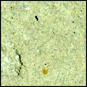 This image was taken by SHERLOC_WATSON onboard NASA's Mars rover Perseverance on Sol 1396