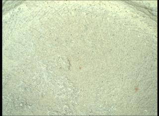 View image taken on Mars, Mars Perseverance Sol 1396: WATSON Camera 