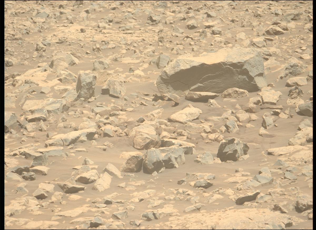 This image was taken by MCZ_LEFT onboard NASA's Mars rover Perseverance on Sol 1396