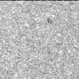 View image taken on Mars, Mars Perseverance Sol 1398: Left Mastcam-Z Camera