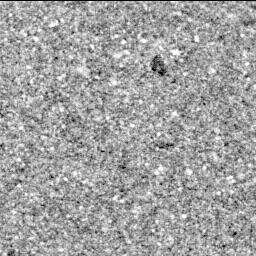 View image taken on Mars, Mars Perseverance Sol 1398: Right Mastcam-Z Camera