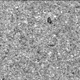 View image taken on Mars, Mars Perseverance Sol 1398: Right Mastcam-Z Camera