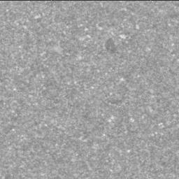 View image taken on Mars, Mars Perseverance Sol 1398: Right Mastcam-Z Camera